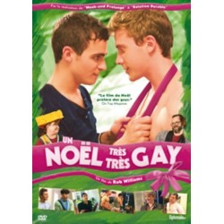 UN NOËL TRÈS TRÈS GAY