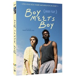 BOY MEETS BOY [DVD]