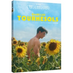 DANS LES TOURNESOLS