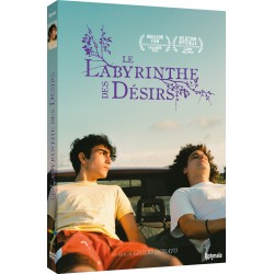 LE LABYRINTHE DES DESIRS [DVD]